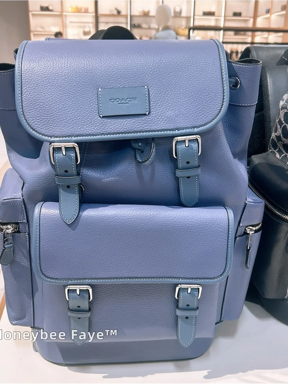 Coach Men's sprint Leather Backpack in Lavender Blue CBI11